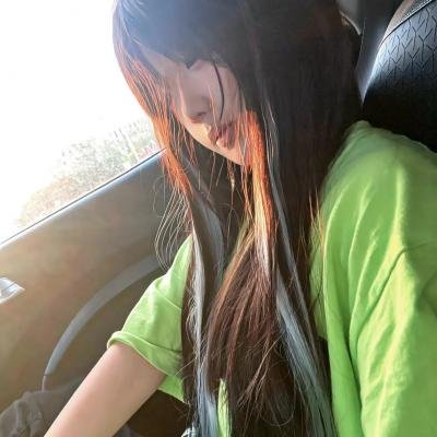 完美伴侣2025